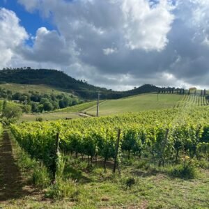 Sintra wine tasting, historical centre and beach, sightseeing best monuments